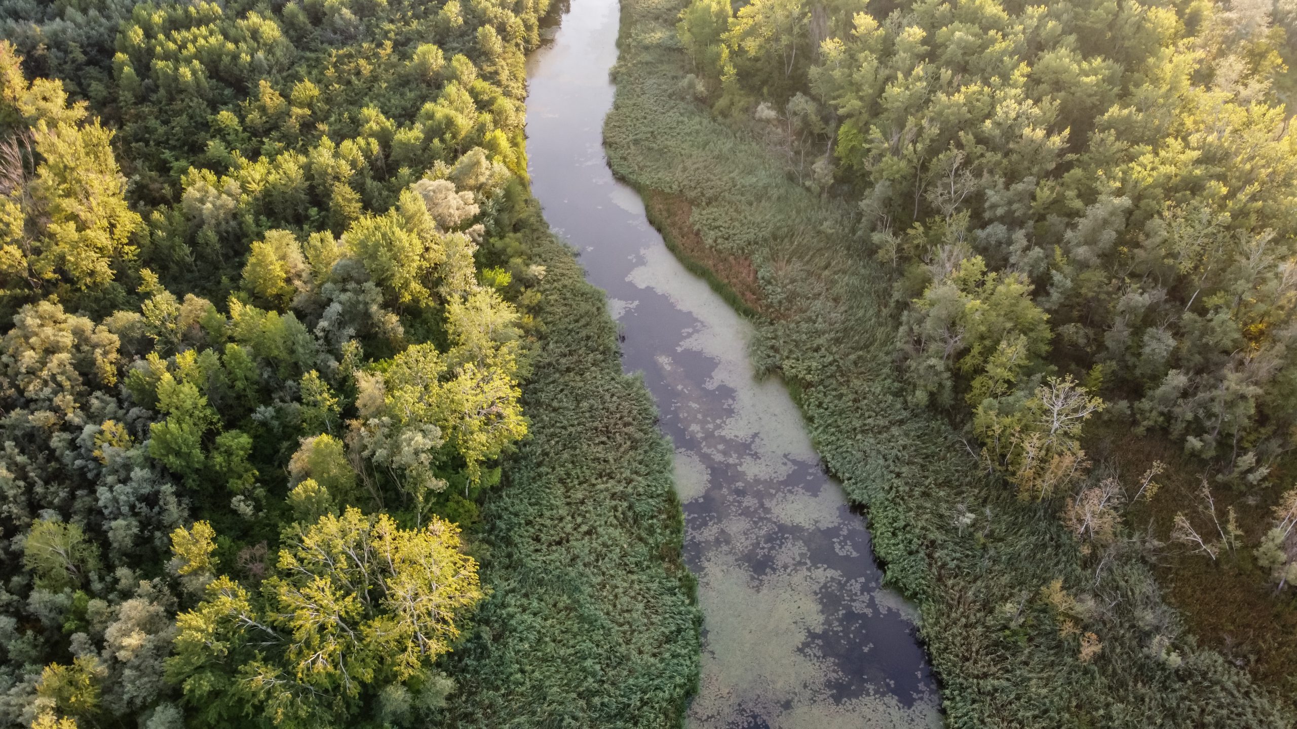 River Aerial View